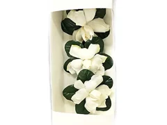 Gardenia Gift Box - Fresh Cut