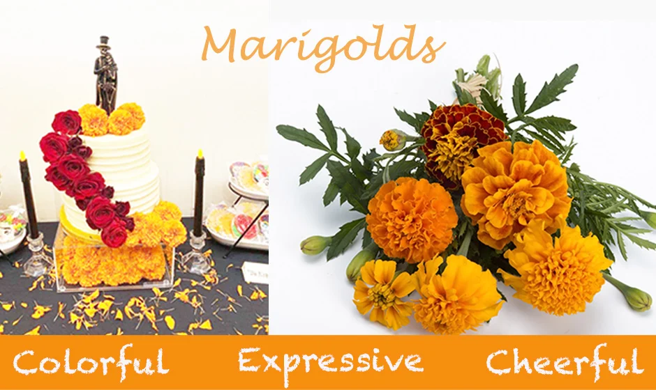 Premium Cut Marigolds Online