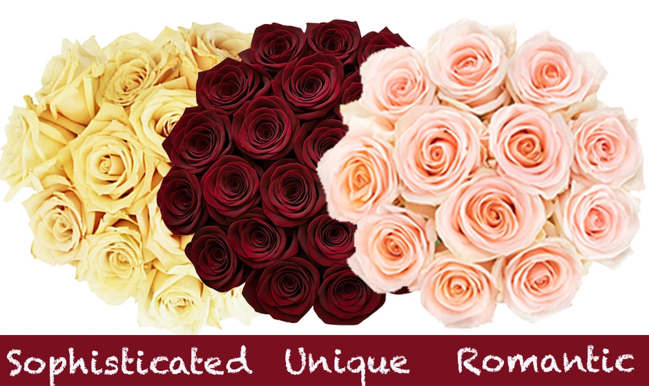 Fresh bulk roses in rich fall colors, perfect for autumn weddings, seasonal events, and rustic floral arrangements.