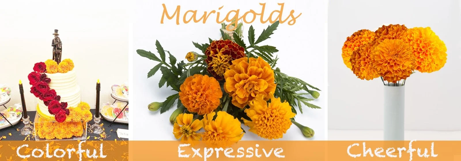 Premium Cut Marigolds Online