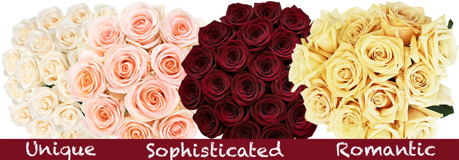 Fresh bulk roses in rich fall colors, perfect for autumn weddings, seasonal events, and rustic floral arrangements.