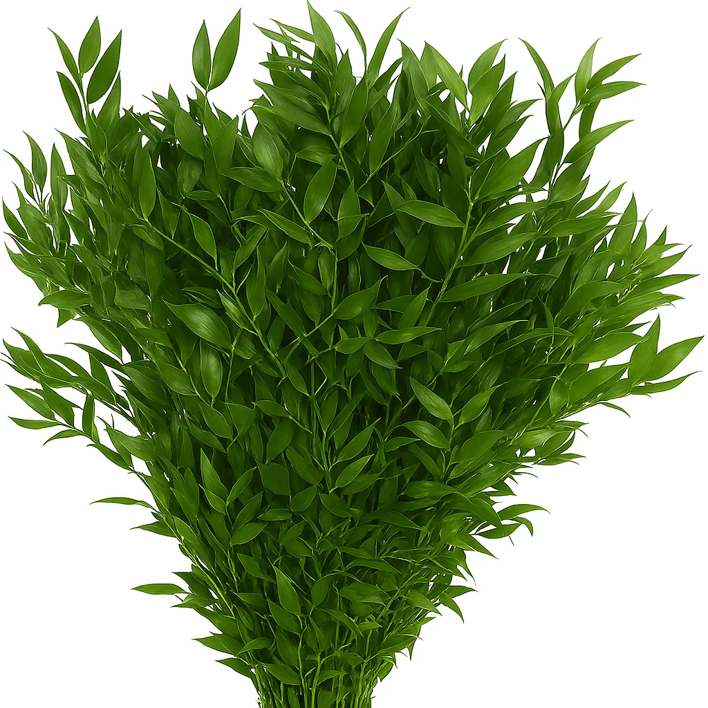 Wedding greenery and foliage in bulk with eucalyptus and ruscus for décor, centerpieces and arrangements