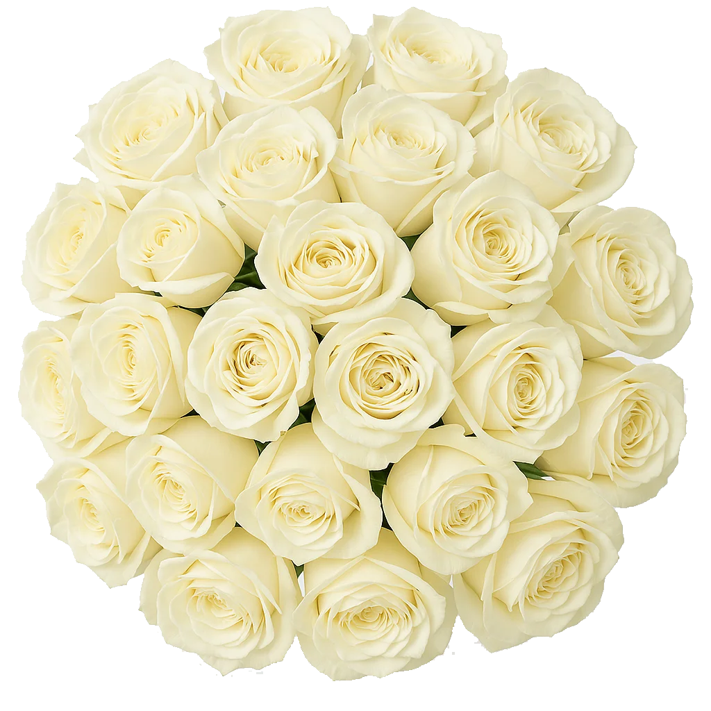 Farm Choice White Rose