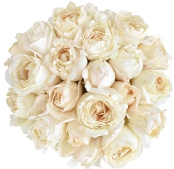 Ivory and cream wedding flowers in bulk with roses and hydrangea for elegant bouquets and centerpieces.