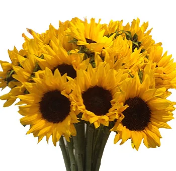 Yellow flowers in bulk for events and weddings, bright blooms for centerpieces and floral arrangements.