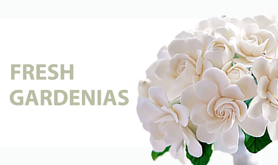 Elegant fresh-cut gardenias with lush green foliage, perfect for weddings, events, and special occasions. Shipped fresh nationwide by Whole Blossoms.